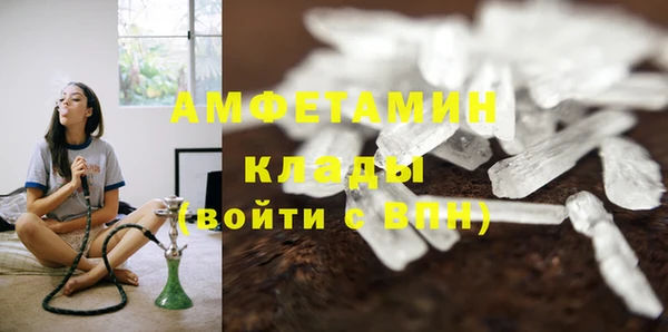 гашик Нея