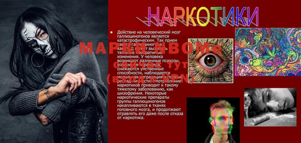 гашик Нея