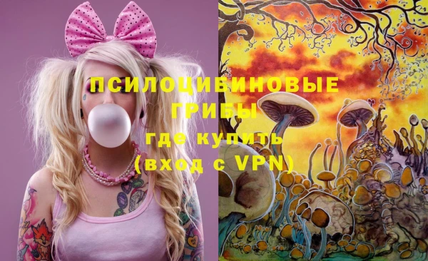 гашик Нея