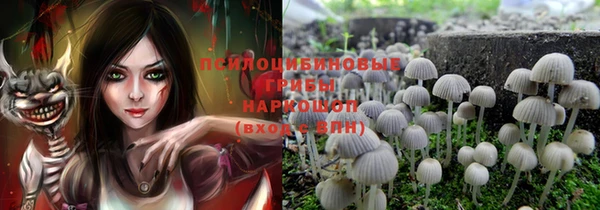 гашик Нея