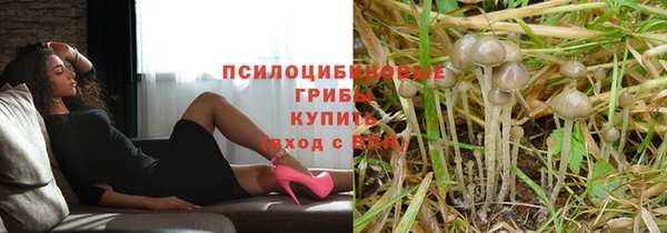 гашик Нея