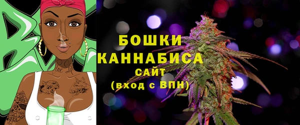 гашик Нея