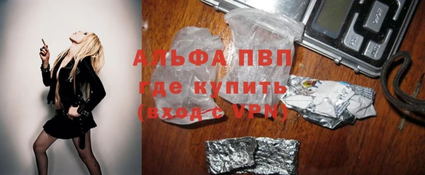 гашик Нея